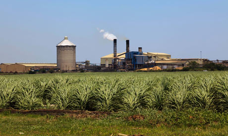 MDG : Swaziland : Sugar cane and sugar mill