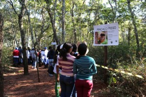 Usina conscientiza estudantes sobre preservação das florestas