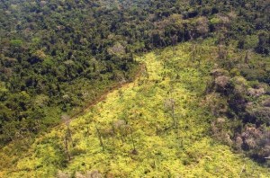 area degradada amazonia