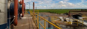 Fábrica da Tabacal: ampliação da oferta de etanol 