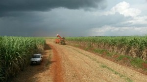 Chuvas estão abrindo novas frentes de colheita