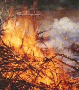 2004-08-17 Queimada Cana Usina Queima Fogo Incendio (6)