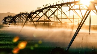 Decreto da Secretaria de Agricultura visa dobrar irrigação nas lavouras paulistas