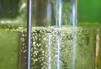 CB Bioenergia recebe licença ambiental para implantação de usina de etanol no RS