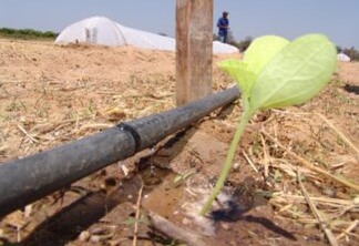 Netafim promove curso de Irrigação por Gotejamento