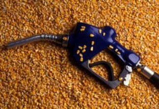 Os EUA se antecipam às mudanças na política energética do Japão para negociar mais venda de etanol