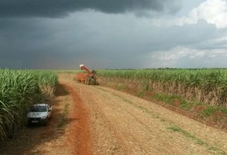 Chuvas estão abrindo novas frentes de colheita