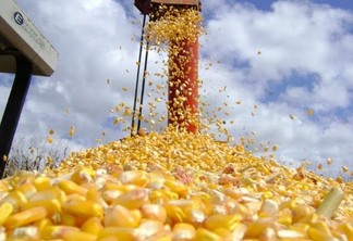 Produção de combustível a partir do milho retrai 71% em Mato Grosso