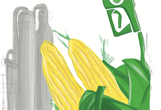 O que o etanol de milho tem a ensinar ao etanol de cana?