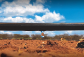 Irrigação por gotejamento é garantia de maior eficiência