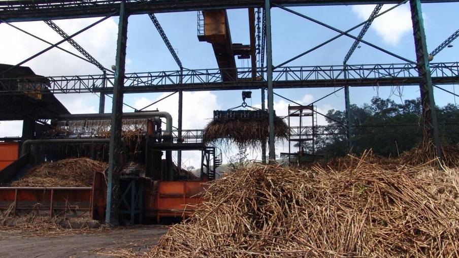 Moagem de cana nas usinas de Alagoas recua 13,6%