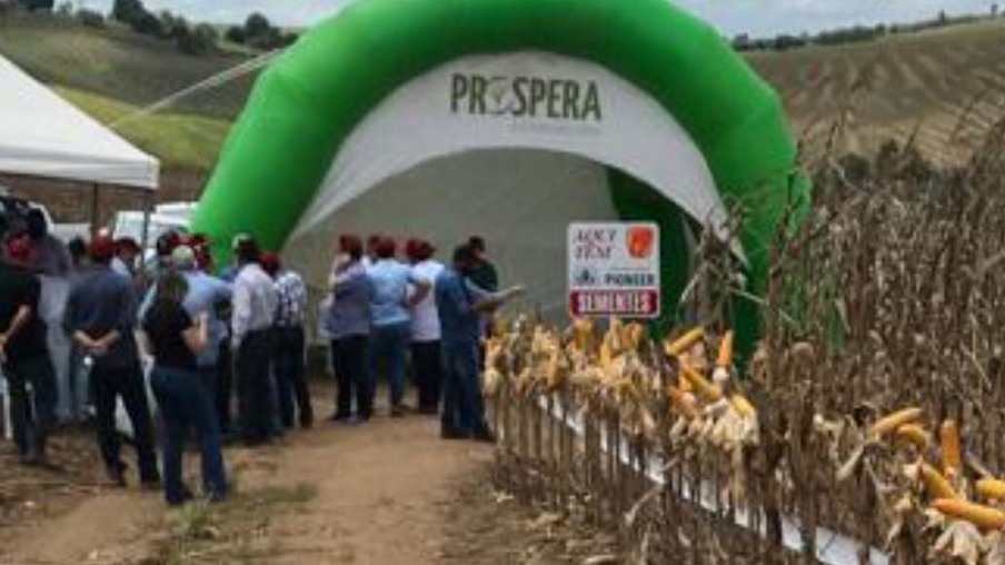 Coaf destaca técnicas de cultivo e colheita de milho na Zona da Mata