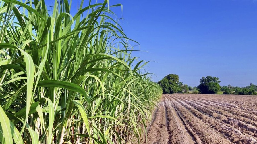 Goiás investe na produção de etanol de cana que deve crescer 6,4% na safra 2022/23