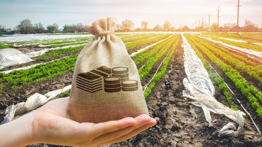 Boletim mostra o crescimento das finanças privadas no setor agropecuário