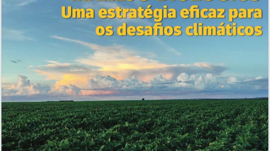 A Evolução do Setor Sucroenergético: O Futuro Sustentável do Brasil