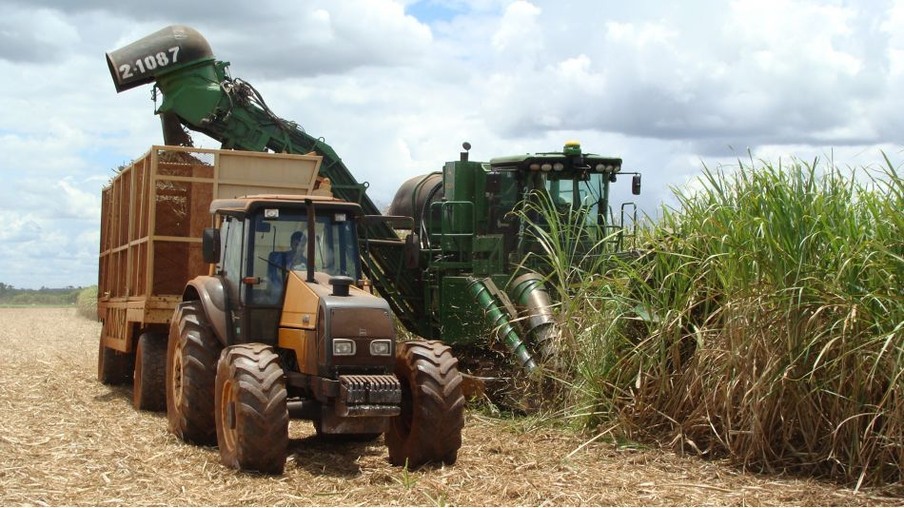 Clima prejudica a produtividade da cana-de-açúcar em São Paulo