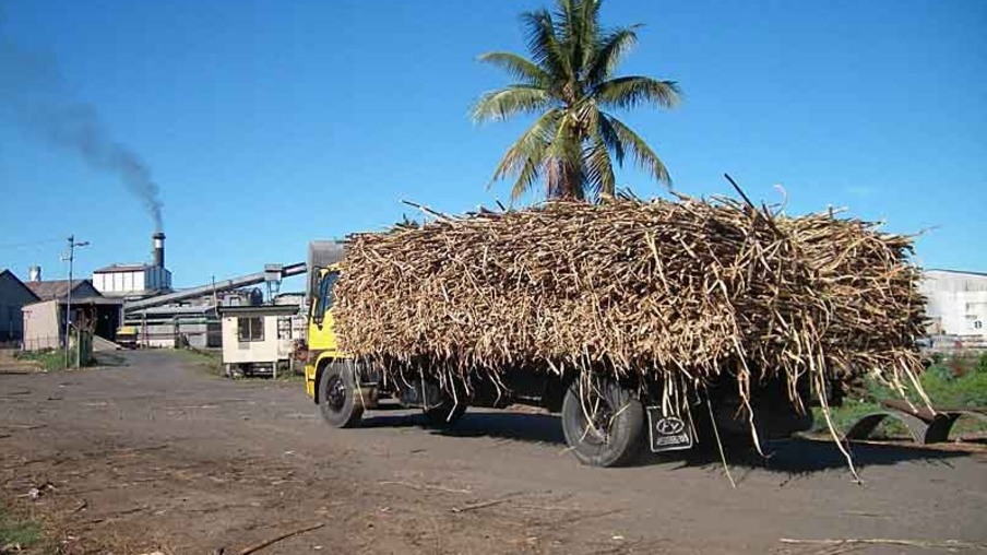 Produção de açúcar em Fiji deve cair 50% após ciclone