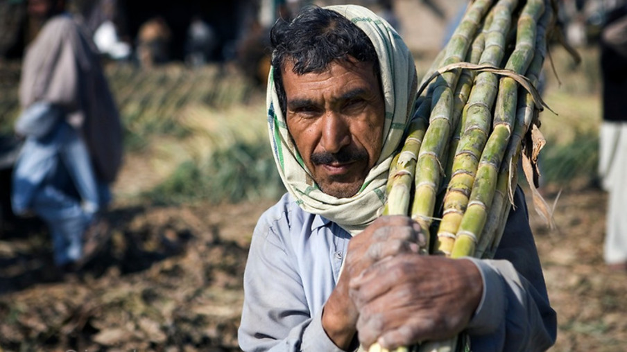 Paquistão exporta açúcar em demasia e prejudica mercado interno