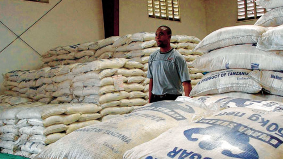Produtor de açúcar no Egito aumenta capacidade instalada
