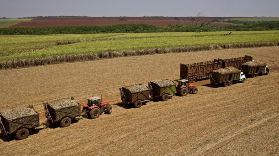 Especialistas debatem estratégias para redução de custos agrícolas