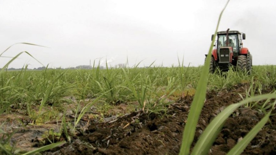 Senado aprova isenção de licenciamento anual para máquinas agrícolas