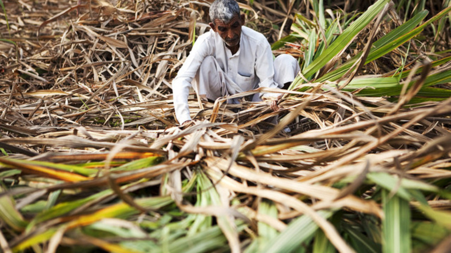 Usinas de açúcar indianas interrompem operações antecipadamente, diz órgão do setor
