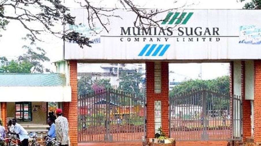 Mumias Sugar Company adia retorno às atividades