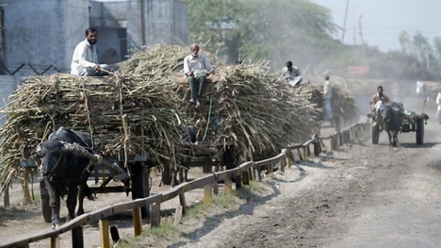 Índia publica resolução com incentivo para exportação de açúcar bruto