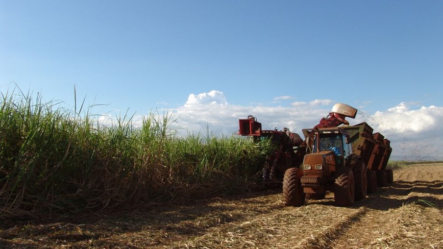 Paraná projeta colher 46 milhões de toneladas de cana-de-açúcar na safra