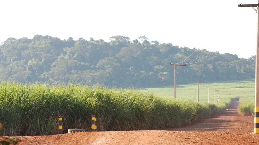 Ainda há muita terra para plantio no Brasil