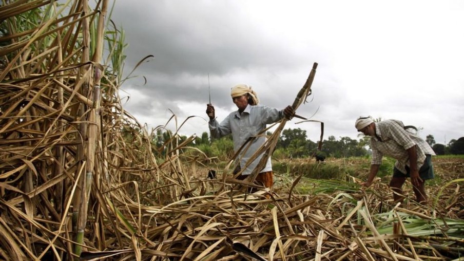 Governo da Índia ameaça confiscar açúcar de dezoito usinas para pagamento de agricultores