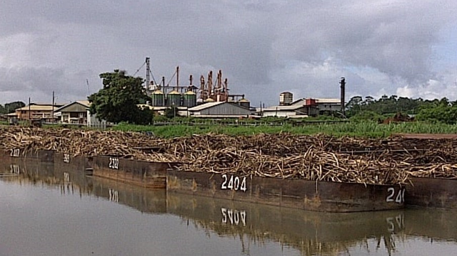 Produção de açúcar na Guiana está muito abaixo do programado