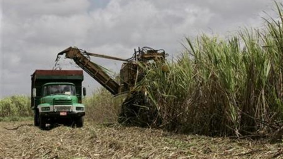Falta de treinamento prejudicou a safra de açúcar em Cuba