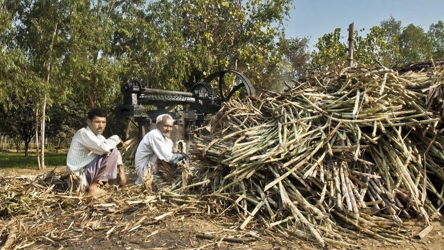 Índia irá aumentar subsídio sobre importação de açúcar