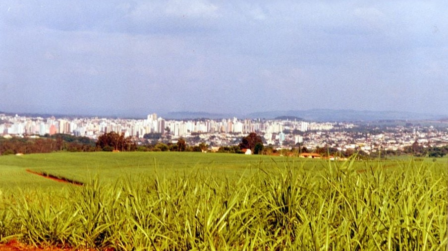 Agricultura amplia emprego na região de Ribeirão Preto