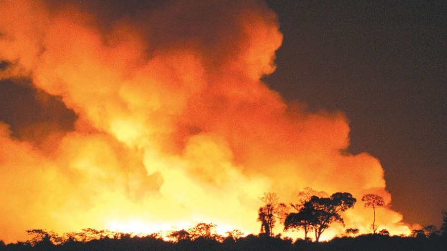 Focos de incêndios descontrolados são pragas para canaviais