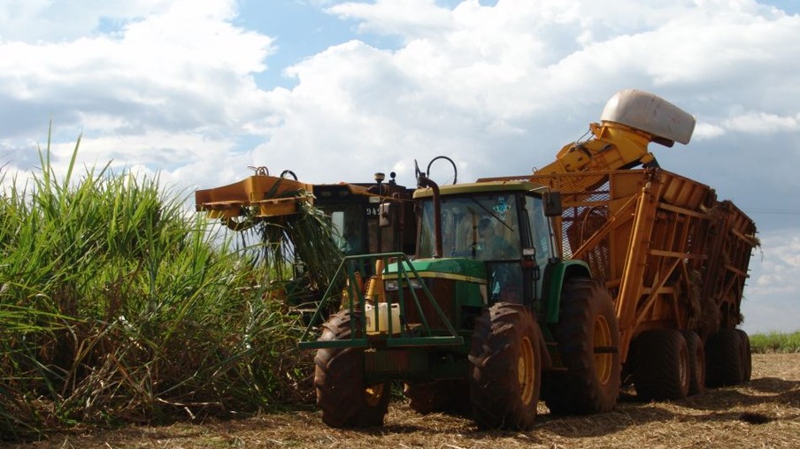 Moagem de cana-de-açúcar em Minas totaliza 33,34 milhões de toneladas