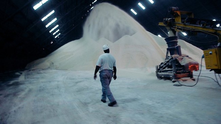 Açúcar: Acompanhe em gráficos alta histórica do Indicador Cepea