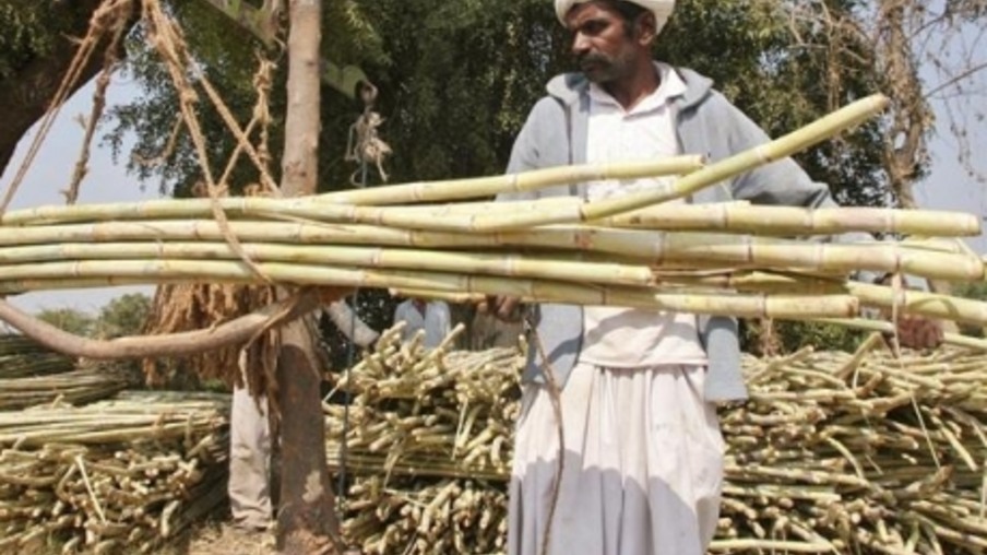 Produção de açúcar crescerá 4% na Índia