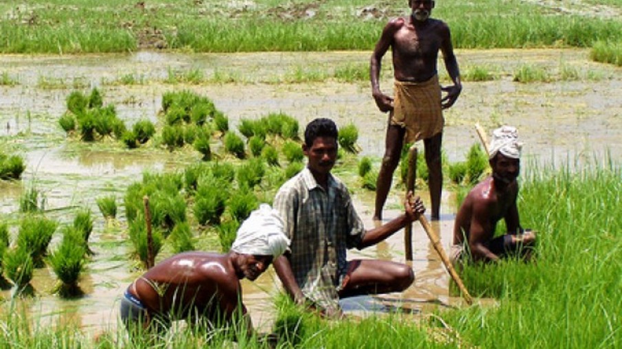 Governo da Índia quer investir em tecnologia para ajudar agricultores