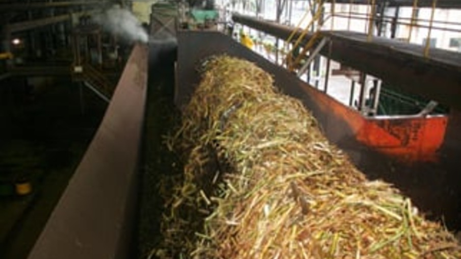 Apesar da entressafra, 32 usinas de cana-de-açúcar continuam com a moagem no Centro-Sul