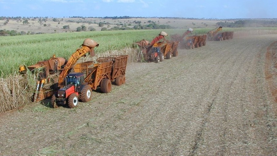Mecanização da colheita da cana chega a 81% na região  de Ribeirão Preto