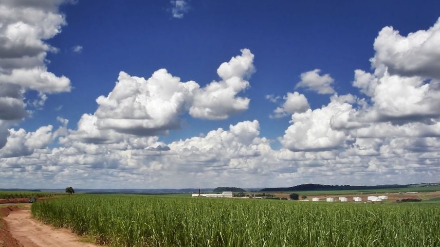 Plano Safra surpreende e mostra importância do agro, avalia USDA