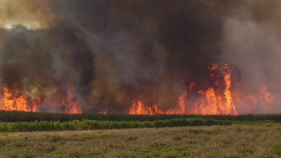 Usinas podem perder R$ 10 mil/ha com incêndios criminosos em 2015