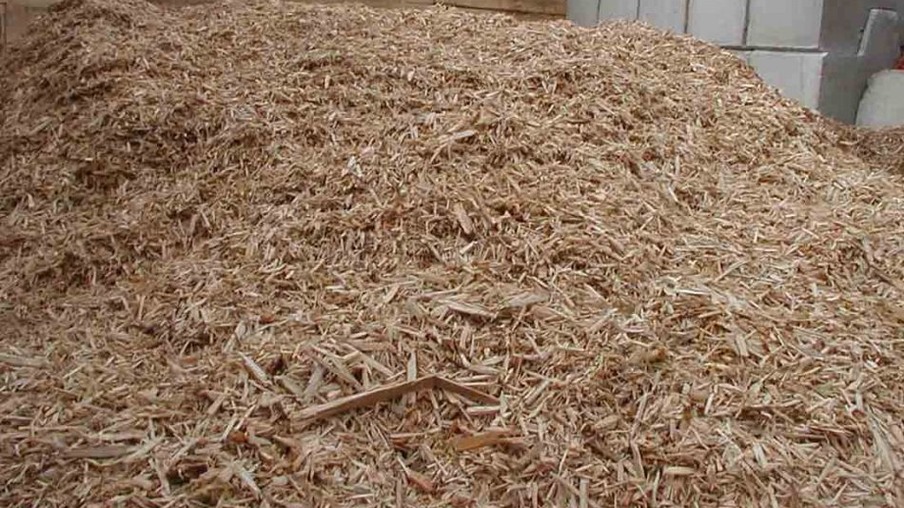 Avanço da biomassa de cana ainda é tímido
