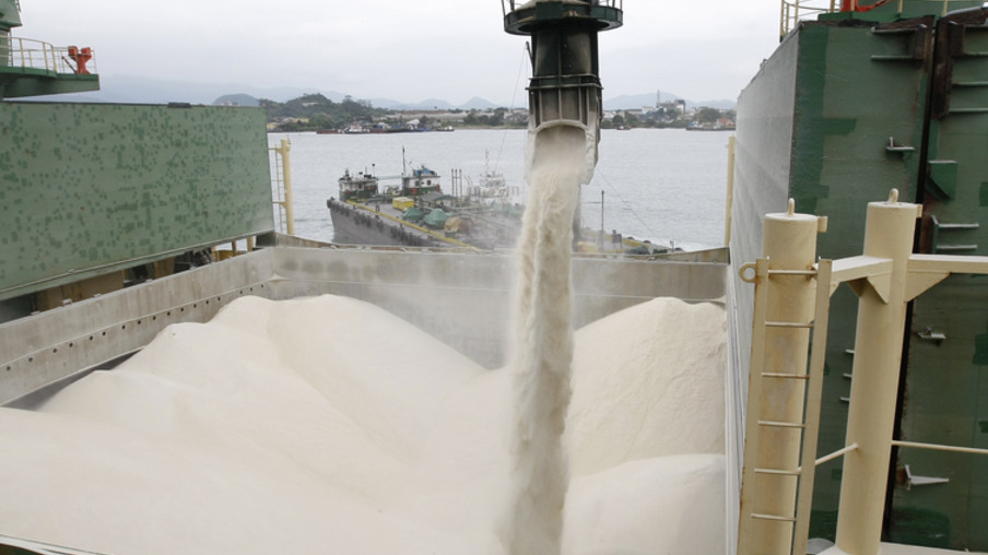 O ritmo de exportação de açúcar avançou neste mês