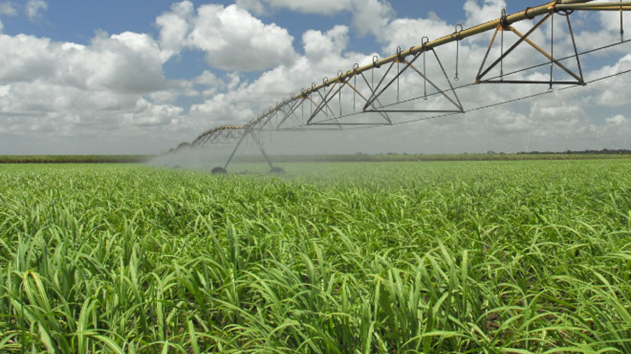 Pesquisa definirá pegada hídrica da cana irrigada no Brasil  