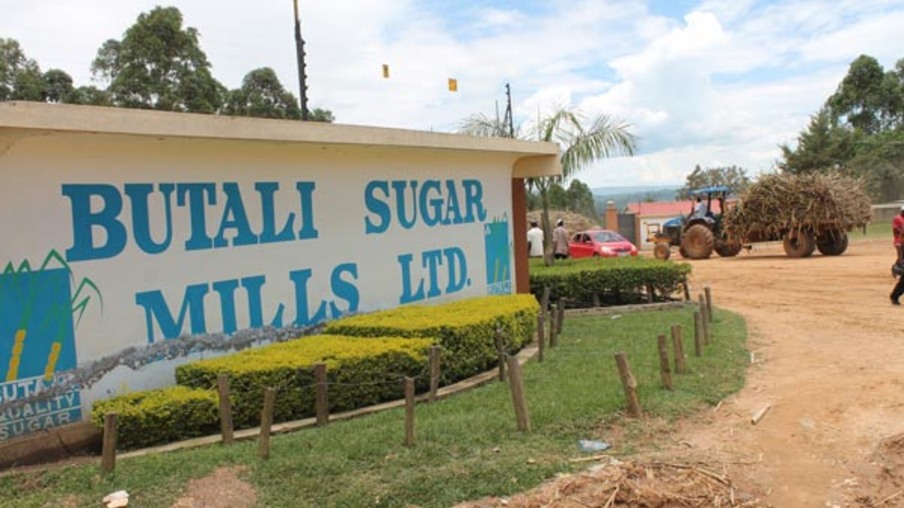 Usinas de açúcar no Quênia travam disputa judicial