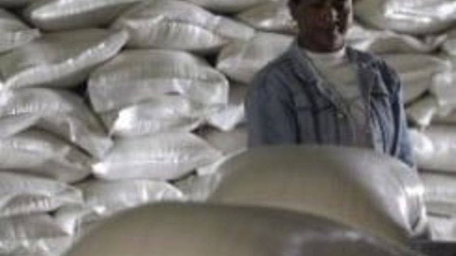 Seca afeta a produção de cana de açúcar em Honduras