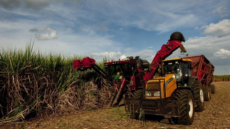 Moagem de cana-de-açúcar no país pode cair 2,5%